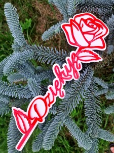 Prezent na Dzień Nauczyciela – Róża „Dziękuję” 20 cm